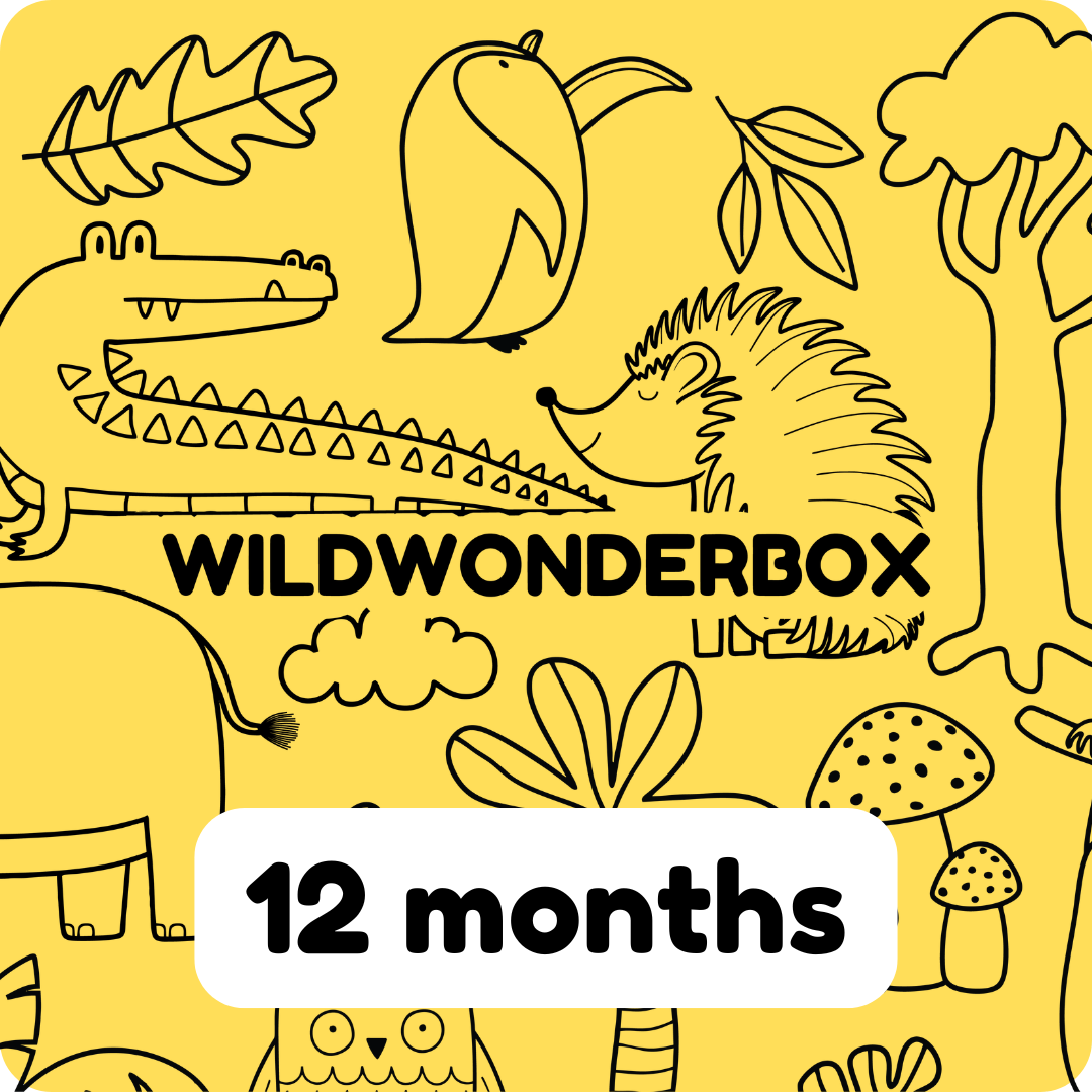 12 Months Subscription