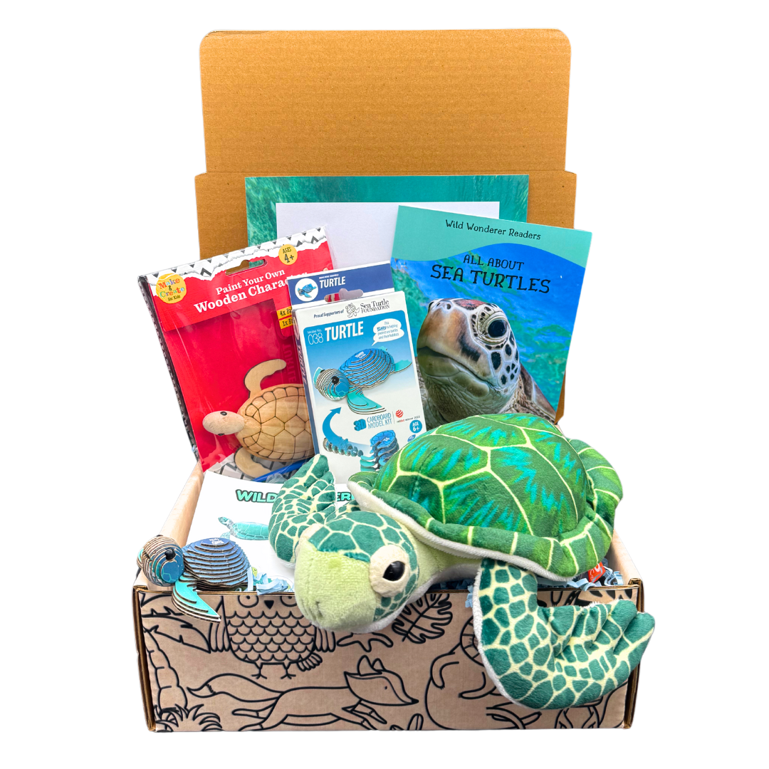 Sea Turtle Box – Wild Wonder Box