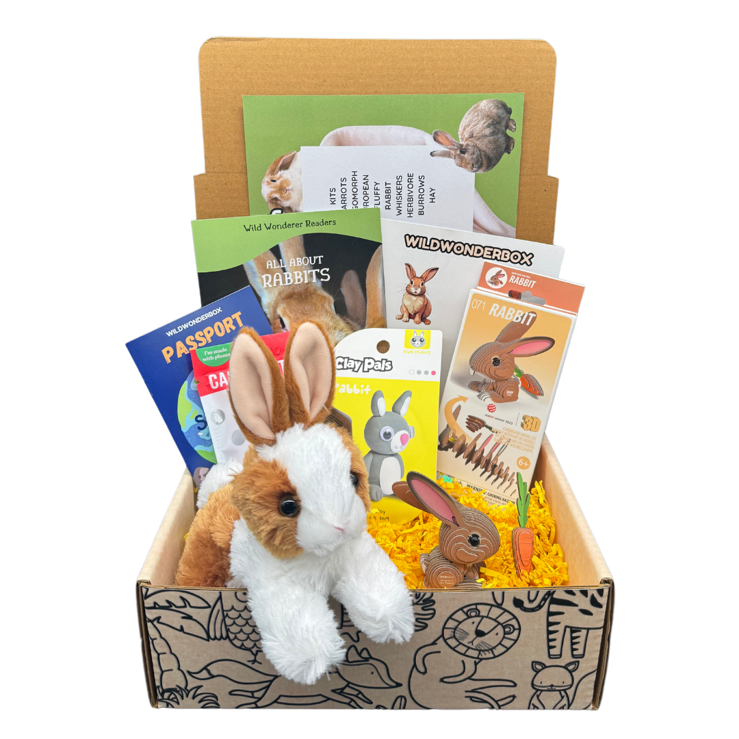 Wonder Box Rabbits Rabbit Box – Wild Wonder Box