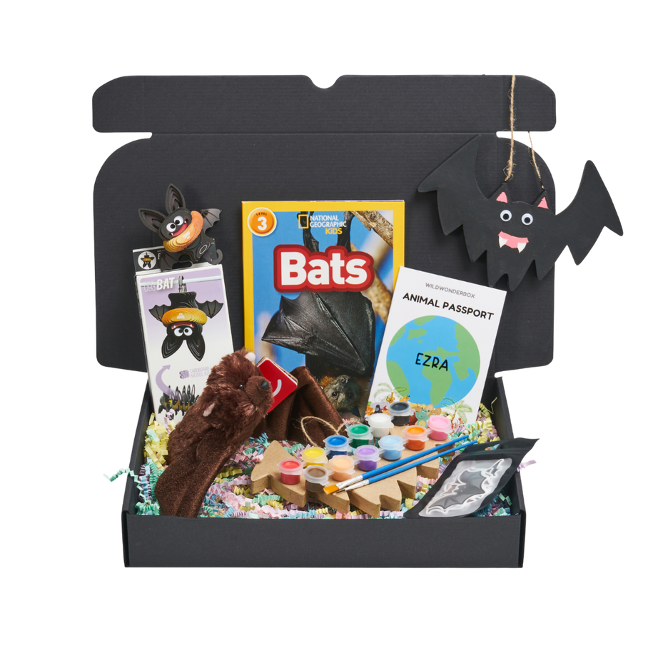 Bat Box