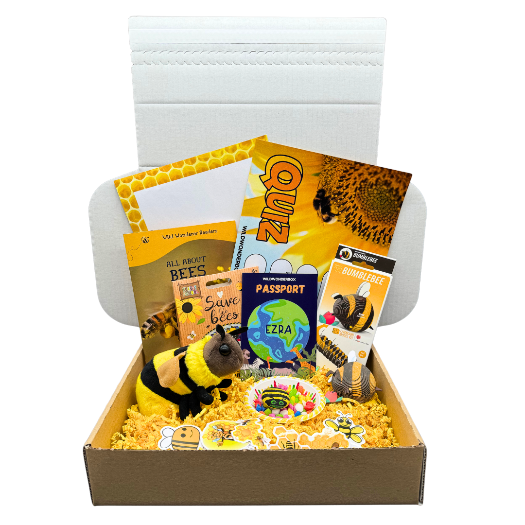 Bee Box – Wild Wonder Box