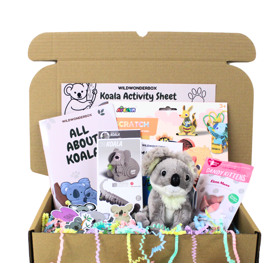 Koala Box Wild Wonder Box