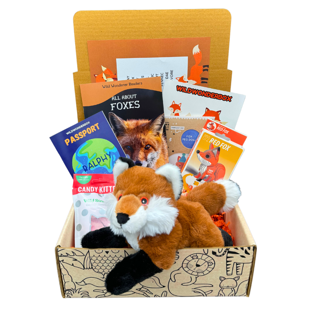 Wonder Box Rabbits Fox Box – Wild Wonder Box