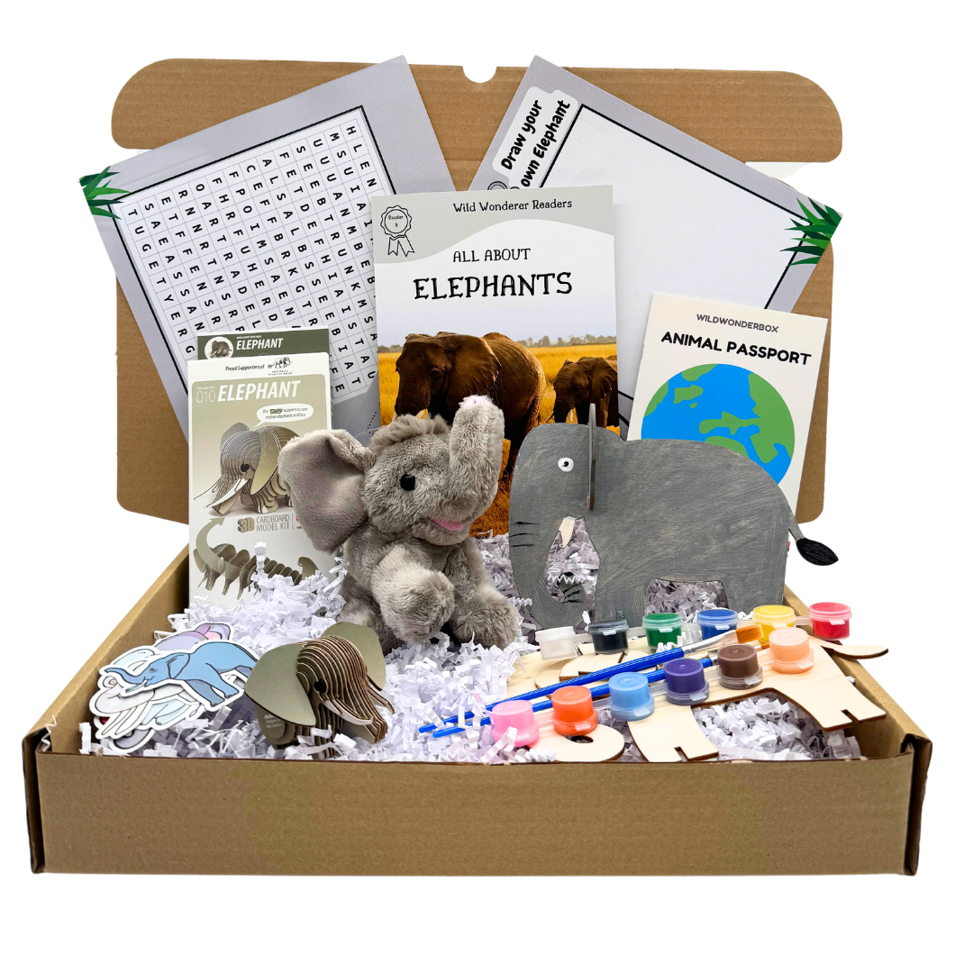Elephant Project Boxes Elephant Box – Wild Wonder Box