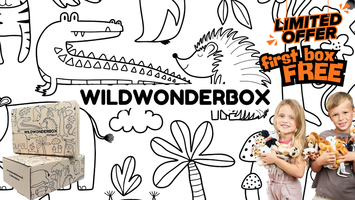 Wonder Box Rabbits Childrens Animal Subscription Box – Wild Wonder Box