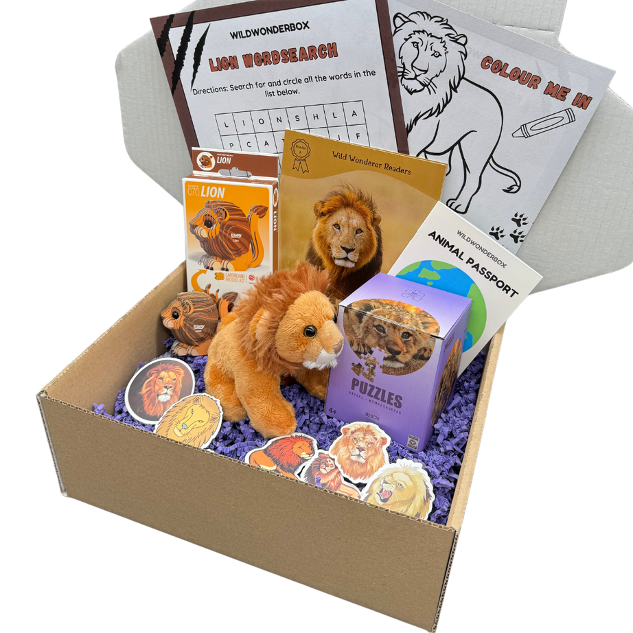 Lion Box
