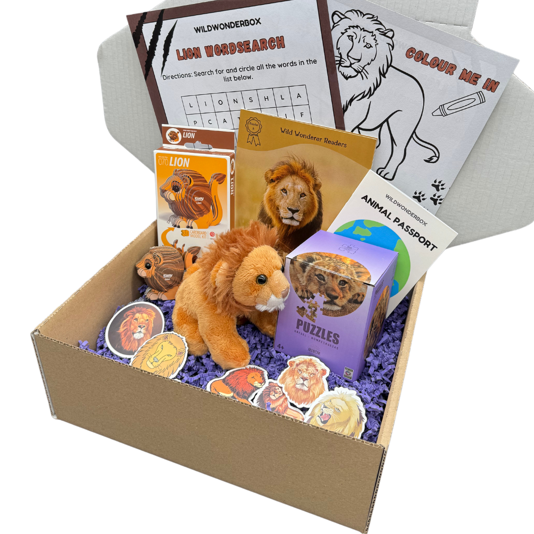 Lion Box – Wild Wonder Box
