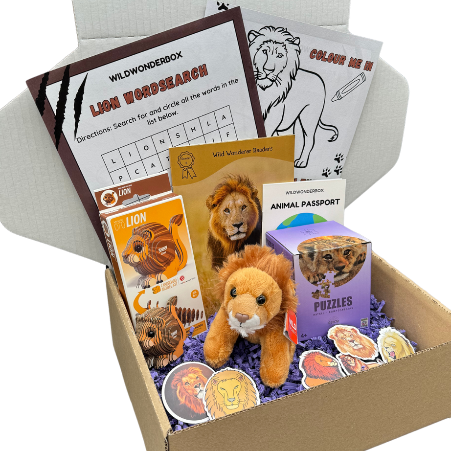 Lion Box