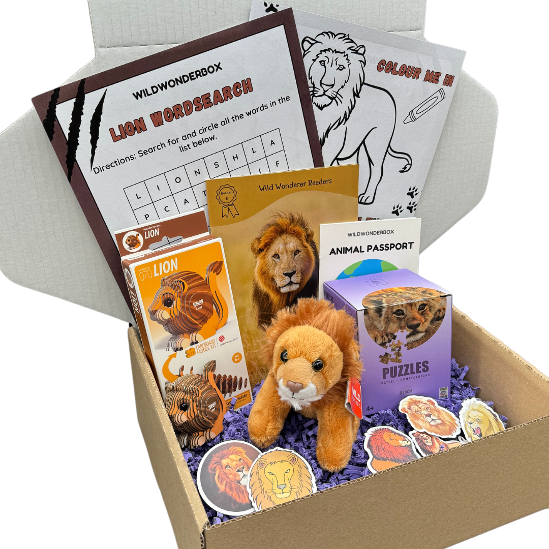 Lion Box