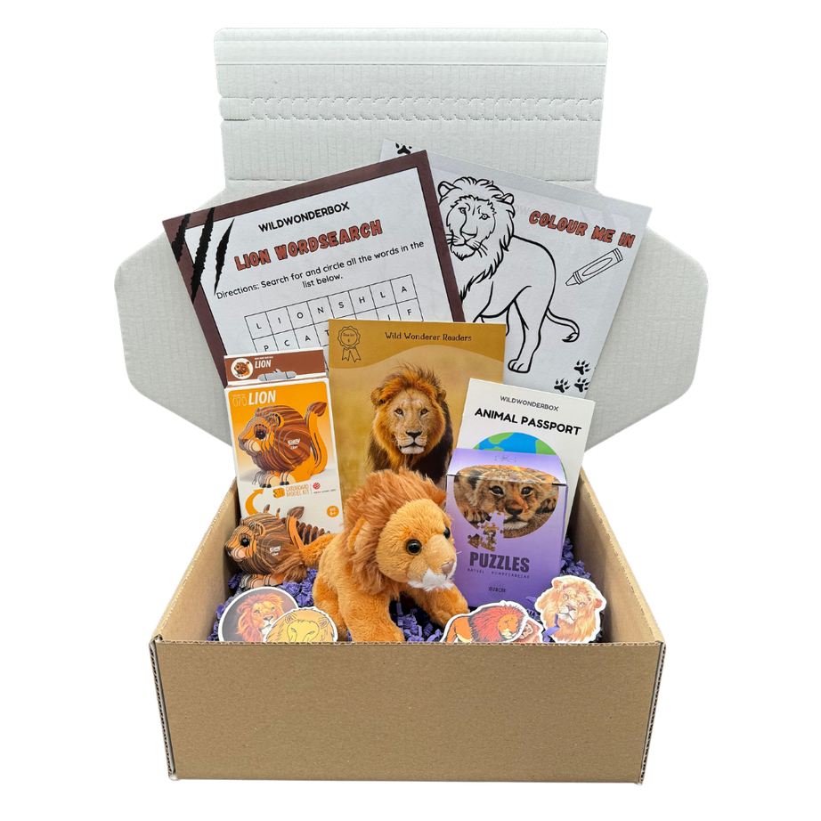 Lion Box