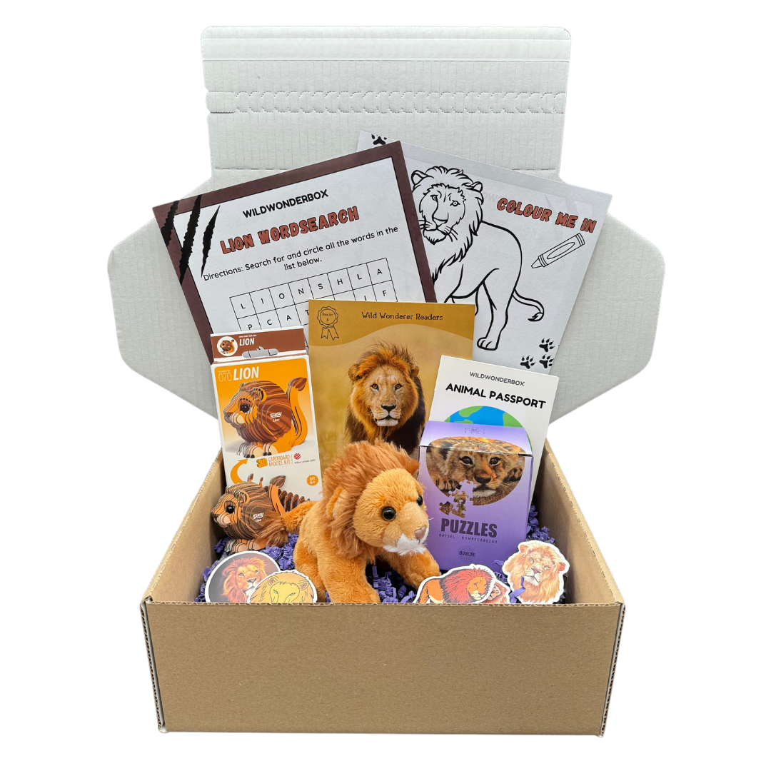 Lion Box – Wild Wonder Box