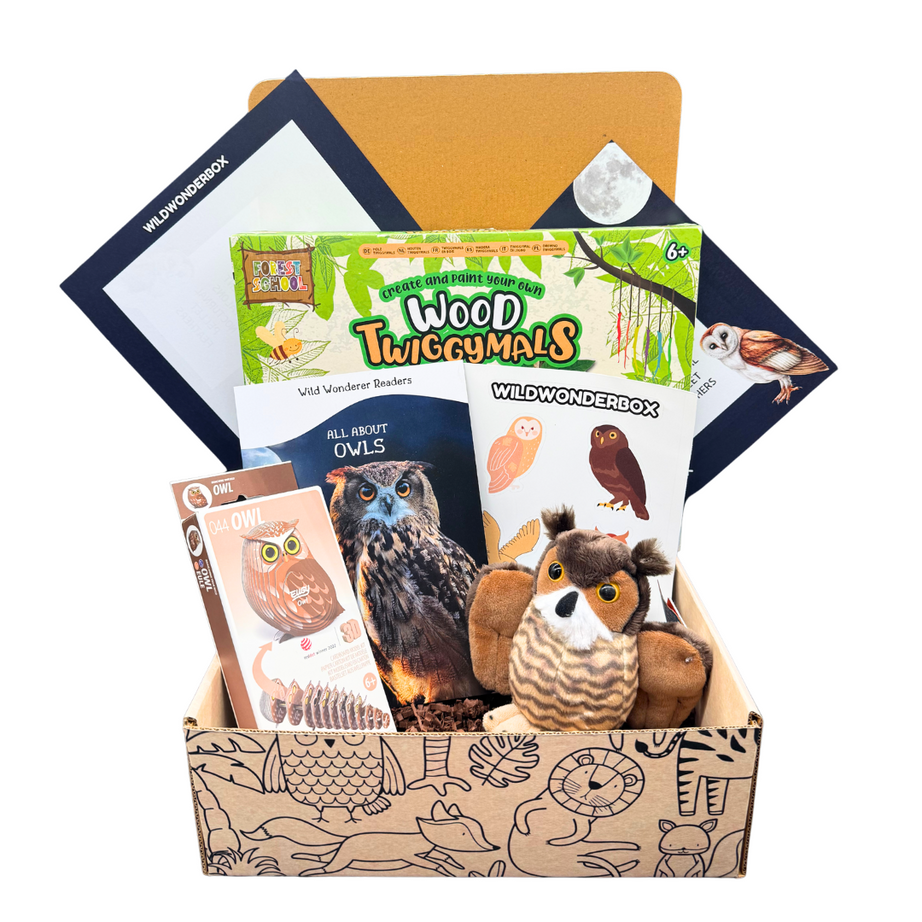 Owl Box