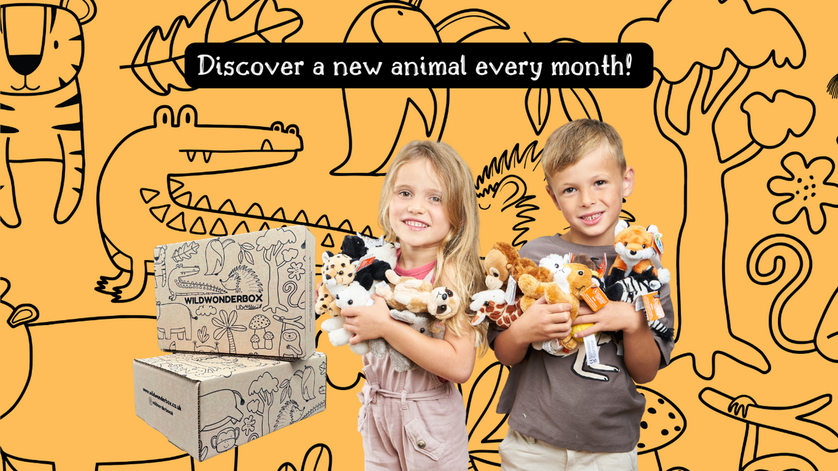 Wonder Box Rabbits Childrens Animal Subscription Box – Wild Wonder Box
