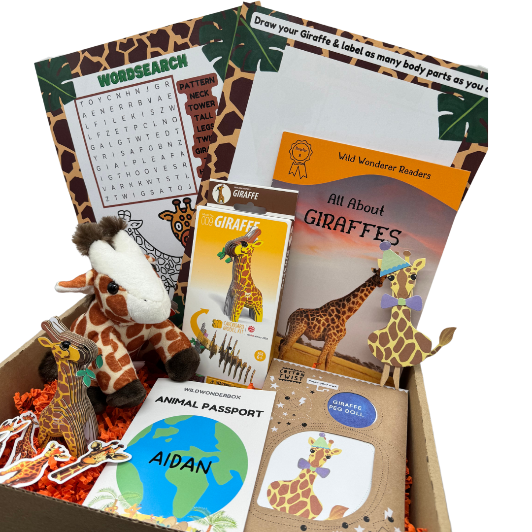 Box File Giraffe Giraffe Box – Wild Wonder Box