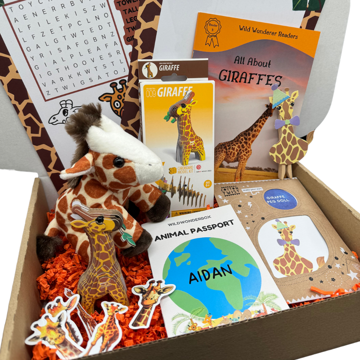 Box File Giraffe Giraffe Box – Wild Wonder Box
