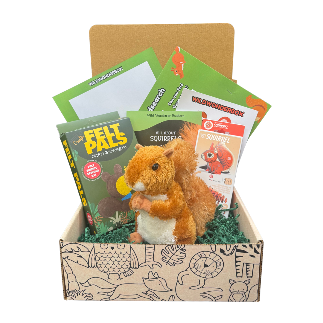 Squirrel Box